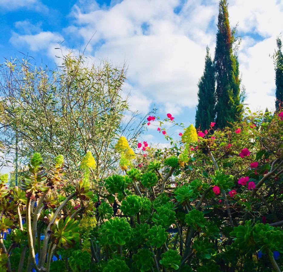 Bohemian Villa - Malaga Alora Eksteriør bilde